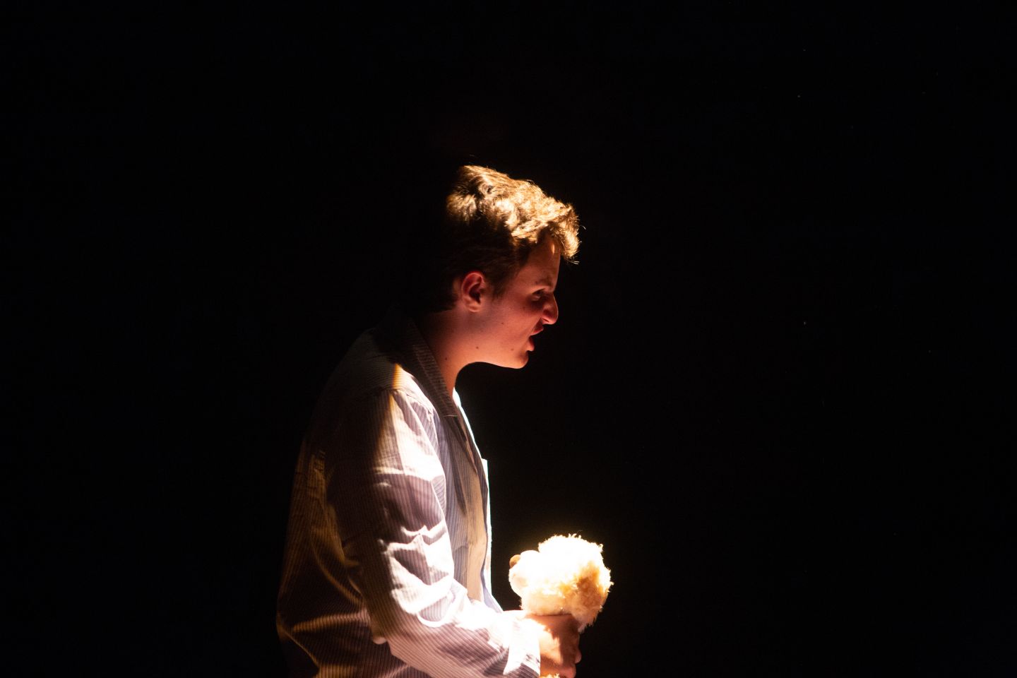 Julius Caesar production photo